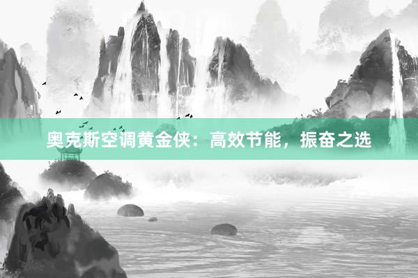 奥克斯空调黄金侠：高效节能，振奋之选